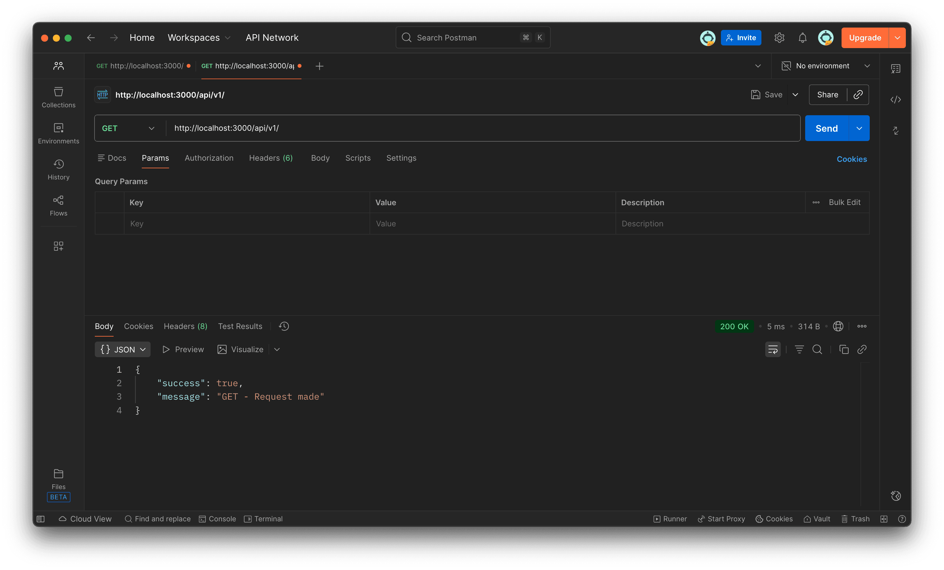 Screenshot of Postman showing GET response from localhost api v1 route